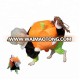 Stocked carrying pumpkin pet clothes for Halloween funny dog costume